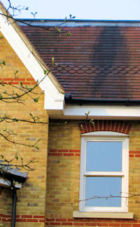 Ray Jones Roofing - Roof repair